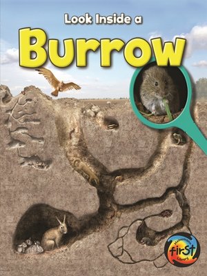 cover image of Burrow
